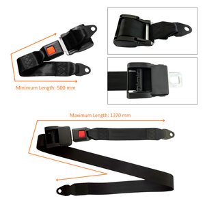 HO-FEC017 Fabricante de Cinturones de Seguridad de 2 Puntos para Automóviles de Alta Calidad - Product Image 4