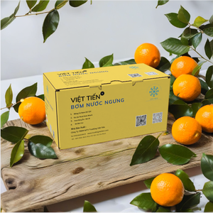 High Quality VIET TIEN BN-10M <b>Small</b> Electric ABS Eco-Friendly Draining Pump for Air Conditioner Condensate Removal Corporate - Product Image 4