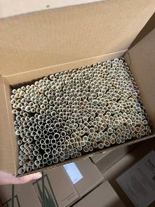 Grass in Vietnam Natural Grass <b>Straws</b> Vietnam/ Grass <b>Straws</b> <b>Drinking</b> Custom Design Size and Cheapest Price by Eco2go Vietnam - Product Image 6