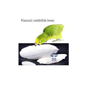 NOUVEAU Os de Seiche Naturel Écologique, Source de Calcium pour Accessoires de Cage à Oiseaux, Magasins d'Articles pour Animaux et Vente en Gros - Product Image 1