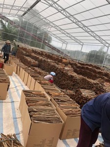 อบเชยทำความสะอาดผิวดอกไม้แห้งโทรศัพท์ + 84869186312 - Product Image 3