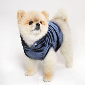 Dog Apparel VELVET HOODY Polyester Classic Lightweight Modern Cute Luxury Spring <b>Top</b> for Dogs and <b>Cats</b> trendy apparel dog <b>tops</b> - Product Image 2