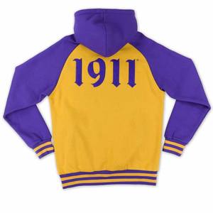 Vente en gros de produits de marque privée Delta |   Sigma |   Theta |   Sweat à capuche personnalisé DST pour club de sport, équipe, école, université, streetwear - Product Image 2