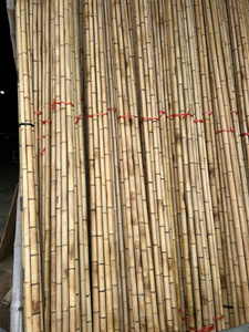Poteaux en bambou du Vietnam, matière première naturelle pour la construction, la fabrication de meubles, la décoration extérieure, l'aménagement paysager et les utilisations structurelles. - Product Image 4