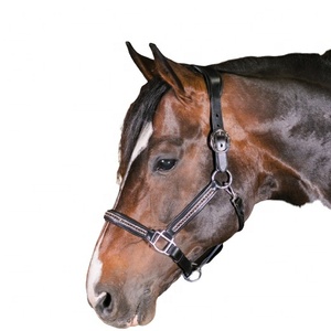 AL RAHMAN TACKS Caballo de cuero genuino Modelo Halter Durable para deportes al aire libre Equitación Carreras de caballos - Product Image 1