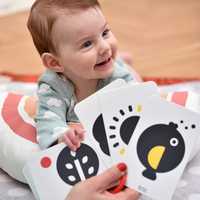 Cartes Premium LearnPlay Alphabet Animaux Fruits : Stimulez la Créativité, Sûres, Écologiques, Papier Épais, Lamination Mate pour l'Éveil des Enfants