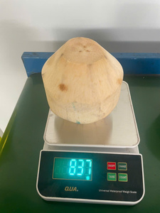 Noix de coco vietnamienne taillée au diamant de qualité supérieure avec eau douce pure prête à servir emballée pour l'exportation, vente en gros et vente au détail - Product Image 3