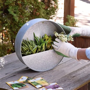 Jardinière murale minimaliste en béton, support circulaire pour plantes succulentes, pot suspendu idéal pour la décoration intérieure et extérieure, provenant d'Inde - Product Image 4