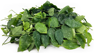 Feuilles séchées de qualité supérieure riches en calcium, fer, vitamines A, B, C, 100% naturelles, marque VIET DELTA, durée de conservation de 2 ans - Product Image 6