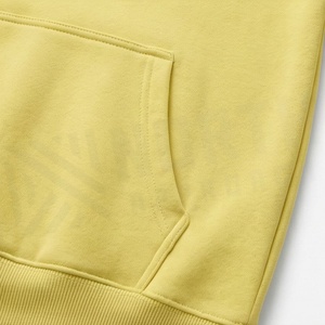 Ensemble de survêtement décontracté en coton épais pour femme, avec sweat à capuche confortable et pantalon, couleur personnalisable - Product Image 5