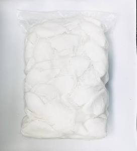 Carne de Coco Congelada a Granel de Alta Calidad, Trozos de Coco Natural IQF con Conservación de Agua para Procesamiento de Alimentos - Product Image 4