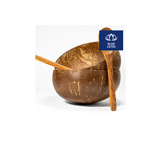 Bol en Coque de Noix de Coco Écologique, Qualité Fiable, Sûr et Propre, 100% Végétal, Idéal pour les Sauces et la Restauration Collective, En Promotion - Product Image 1