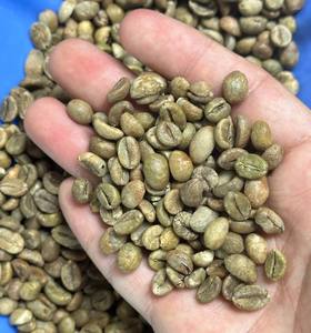 HANCOFFEE Vietnam, Nueva Cosecha de Granos Verdes de Café Robusta y Arábica Premium - Precio al por Mayor, Muestra Empaquetada o a Granel en Bolsa de 60 kg/PP - Product Image 1