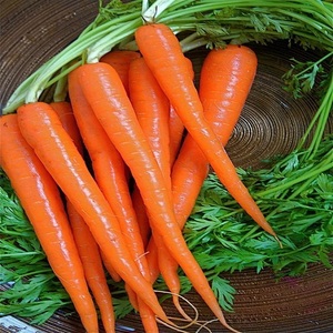 Légumes Biologiques Frais en Gros, Carottes à Bon Prix, Disponibles pour l'Exportation - Product Image 1