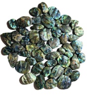 Perles de coquille d'ormeau naturelles de haute qualité, tailles variées, magnifiques couleurs arc-en-ciel naturelles, violet, vert, couleur paon, pour la fabrication de bijoux