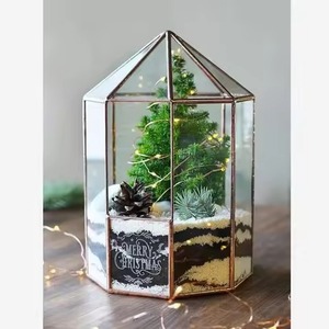 Exclusive <b>Frame</b> Indoor Garden Metal Terrarium Glass Planter Elegant <b>Plant</b> Holder Geometric Home Decor - Product Image 2