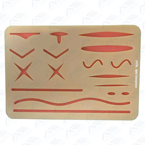 Kit de pratique de suture chirurgicale sur mannequin en acier inoxydable – Matériel pédagogique pour étudiants en soins infirmiers, anatomie et biologie - Product Image 4