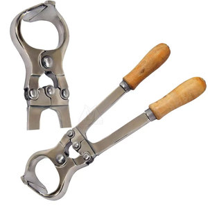 High Quality Stainless Steel Bloodless Castration Forceps Clamp Reusable Veterinary Surgical Tool for Livestock Farm <b>Equipment</b> - Product Image 3