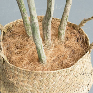Eco2go Vietnam Fibre de Coco Brute Écologique pour la Construction 25cm de Fineur 5 Ho Chi Minh City Autres Fibres - Product Image 1