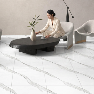 Aramani Seal Marble Look Glazed Porcelain Floor Tiles 60x60cm Glossy Ceramic Anti-Acid Finish 4-Year Warranty 10mm Thick - Product Image 6