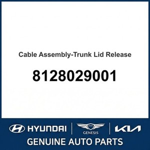 Elantra Nuevo, Otras Piezas y Accesorios para Autos y Camionetas 8128029001 - Product Image 1