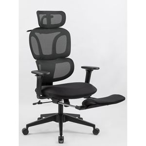 Sedia da Ufficio Ergonomica con Schienale Alto, Supporto Lombare Dinamico, Poggiatesta 2D, Braccioli 4D, Poggiapiedi, Comoda Sedia da Computer - Product Image 6