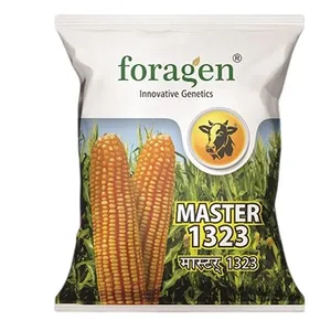Semillas de Maíz <span class=keywords><strong>Blanco</strong></span> Orgánico Híbrido Foragen Master 1323, Maíz Amarillo y Dulce de Alto Rendimiento para Agricultura, en Estilos Seco y Congelado - Product Image 1
