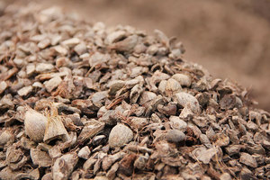 Venta al por mayor de cáscara de palmiste 100% pura, triple lavada, en fardos de 20 kg, precio competitivo, material a granel para lecho de animales. - Product Image 4