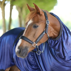 Cabestros de polo de ajuste cómodo con diseño ajustable para entrenamiento, manejo, control estable y uso diario en el cuidado ecuestre. - Product Image 6