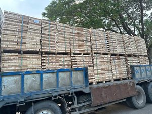 Planches en bois massif rectangulaires, design rustique, pour la construction de meubles - Product Image 2