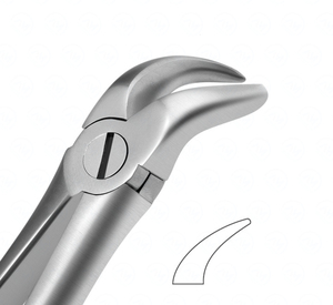 Forceps d'extraction dentaire manuels en acier de classe I, certifiés CE, pour dents supérieures latérales et canines, modèle anglais, instruments chirurgicaux - Product Image 3
