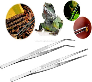 Surgical Dressing Forceps Set Stainless Steel Class I Manual ISO13485 Tissue <b>Clamp</b> Medical Instrument for Hospital Clinic Use - Product Image 6
