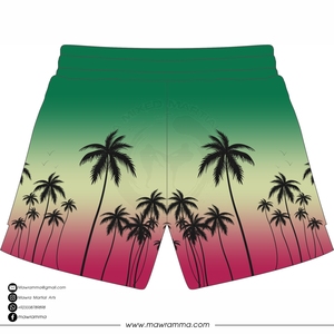 Mawra New Mesh Shorts HIgh Quality Custom Sublimated Logo Summer <b>Outdoor</b> Gym Training Mesh Shorts For Unisex - Product Image 6