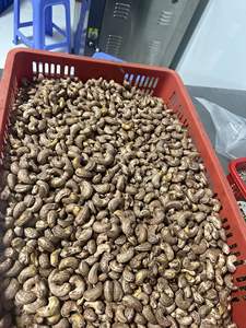 Anacardos Tostados Certificados ISO y HACCP 100% Secos Fabricante Hoang Linh SG Sra. Sara +84 797 415 298 - Product Image 4