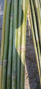 Productos de bambú Respetuoso con el medio ambiente al aire libre Paisaje natural Arquitectura Proveedor Bao Tram Anh - Product Image 6