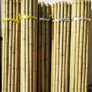 ไม้ไผ่เกรดส่งออกของเวียดนาม – คุณภาพสูง, จำหน่ายจำนวนมาก, ขนาดตามสั่ง, ผู้ผลิตขายส่ง - Product Image 4
