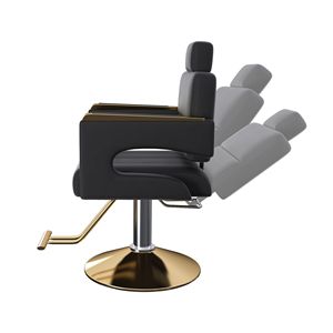 Poltrona da Barbiere Professionale Girevole a 360 Gradi, Regolabile Idraulicamente, Braccioli in Acciaio Inox, Schienale Reclinabile per Scuola - Product Image 1