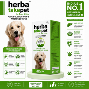 Herbatake Jarabe para Mascotas 100ml, Refuerzo del Apetito y Soporte Hepático para Perros/Gatos/Caballos - Extracto Herbal de Alpinia Galanga Foeniculum - Product Image 4