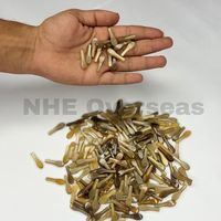 Pointes de corne de buffle naturelles, faites à la main, durables, modernes, de qualité supérieure, blanches claires, pour composants de montures de lunettes, objets d'art et de collection NHE Overseas