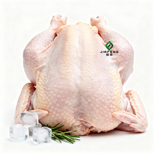 <span class=keywords><strong>Pollo</strong></span> <span class=keywords><strong>Entero</strong></span> Congelado Exportado de Primera Calidad, en Oferta al por Mayor, IQF, con Piel y Hueso, Bajo Contenido de Agua - Product Image 2