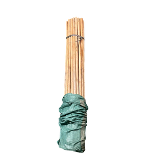 Manche de balai en bois d'eucalyptus du Vietnam de haute qualité, étanche, écologique, léger, design portable, tête de balai en PVC lisse - Product Image 1