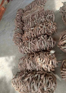 Vente en gros de lianes forestières naturelles torsadées pour la décoration rustique de la maison et de mariage, lianes séchées, approvisionnement direct d'usine du Vietnam - Product Image 6