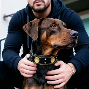 Luxury Leather <b>Braided</b> Dogs pet Collars providing comfort strength and fashionable everyday wear for sale in low price - Product Image 2