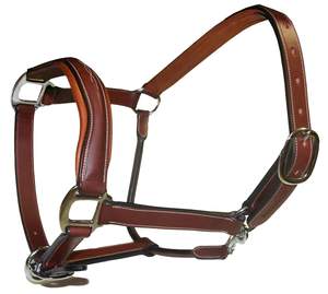 Cabestro de Cuero para Caballo con Herrajes de Latón, Color Marrón, Estilo Inglés, Equipo de Equitación - Product Image 3