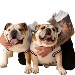 Maillot pour chien de haute qualité vêtements pour animaux de compagnie personnalisables vêtements de sport confortables et élégants pour chiens toutes les tailles disponibles en gros - Product Image 1