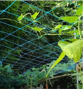 Red de alta resistencia para jardinería, red para plantas, verduras y árboles frutales, protege a las plantas del viento y la lluvia, 11 pies x 16 pies, color azul - Product Image 4