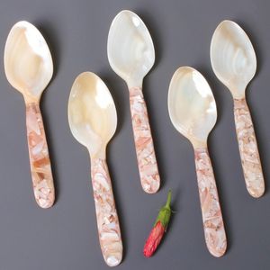 <b>Shell</b> Spoon Supplier Natural Pearl <b>Shell</b> Spoon Handmade Eco Friendly Seafood Spoon Mother of Pearl Spoon Bulk Wholesale - Product Image 5