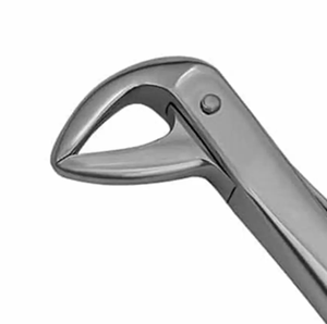 Forceps d'extraction dentaire manuels en acier inoxydable pour usage chirurgical et orthodontique, qualité A+, à vendre - Product Image 5