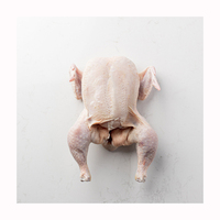 Pollo entero halal, proveedores de pollo entero congelado de Brasil, pollo entero congelado para exportación