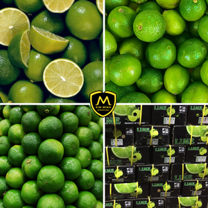 Limón Fresco Sin Semillas de Alta Calidad _ Exportación Confiable de Vietnam para Importadores B2B - Product Image 4